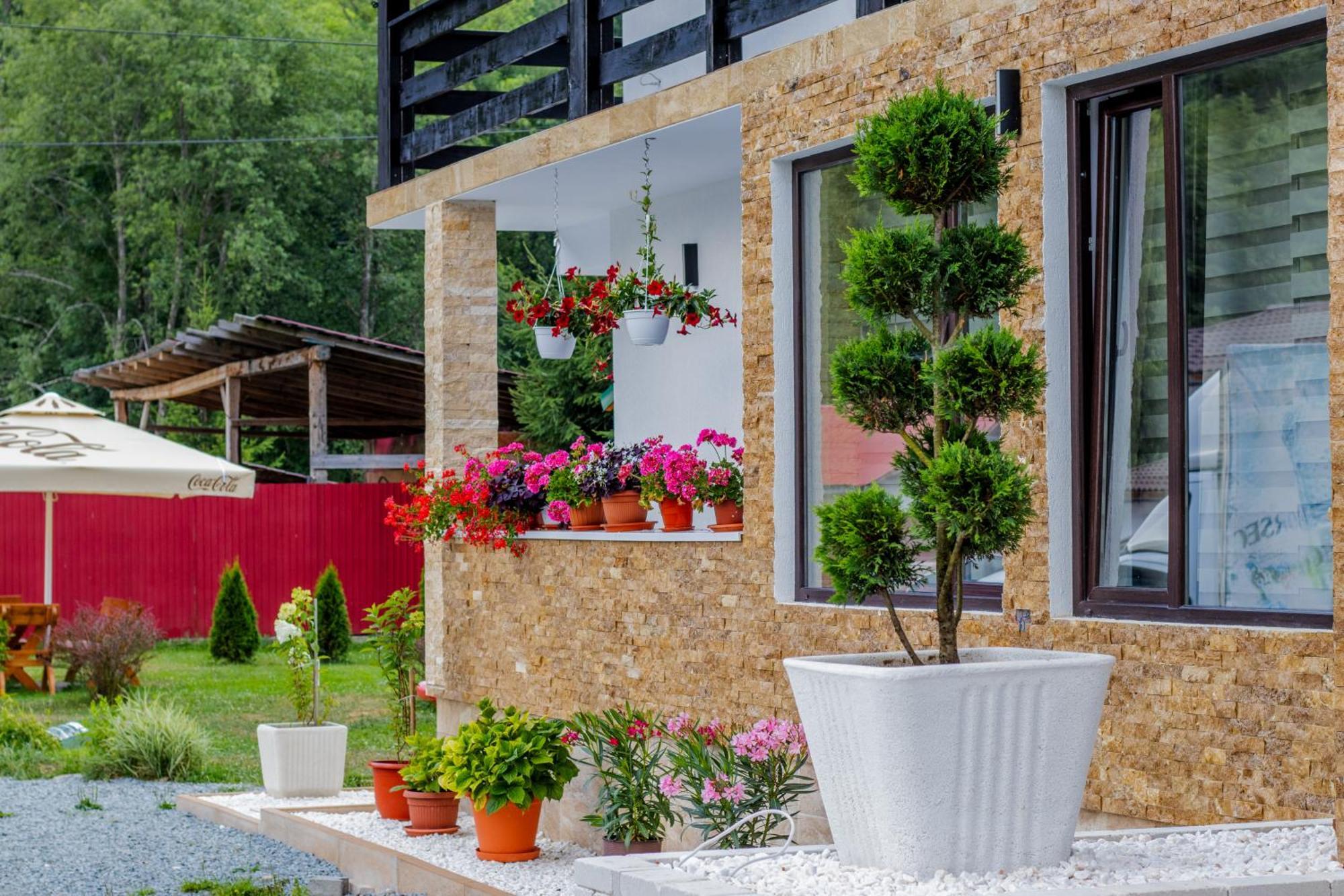 Ge-Lux Villa Incesti ภายนอก รูปภาพ
