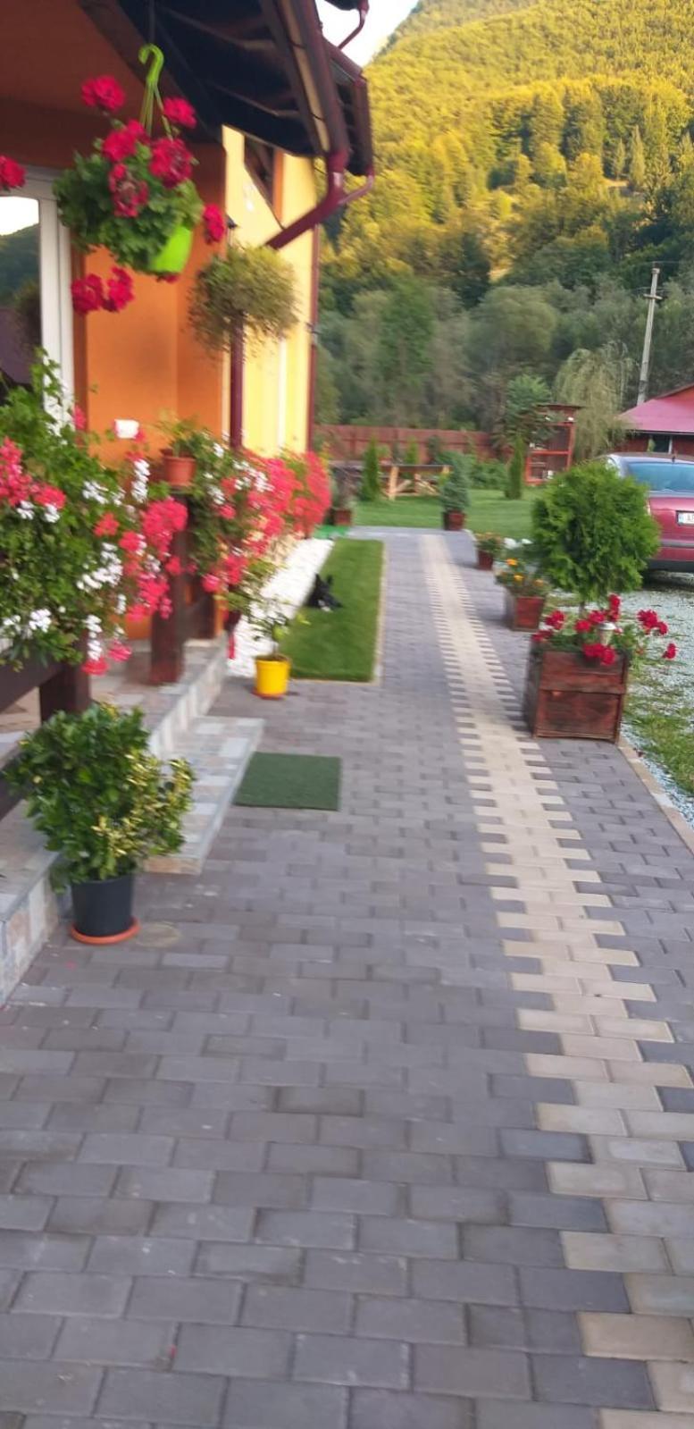 Ge-Lux Villa Incesti ภายนอก รูปภาพ